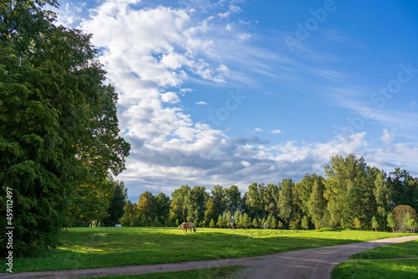Obraz landscape with trees