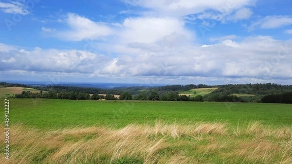 Fototapeta campagne allemande dans la vallée de la Moselle