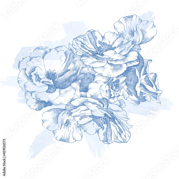 Fototapeta Summer watercolor hand drawn roses print. Botanical print. Spring romantic wedding print. 
Perfect for greetings, invitations, manufacture wrapping paper, textile and web design