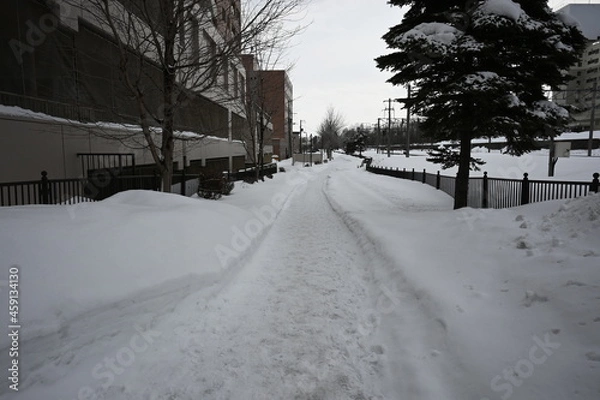 Fototapeta 雪の小路