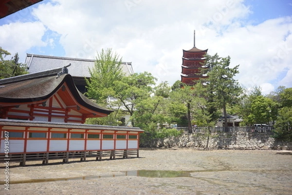 Fototapeta 海の上の神社