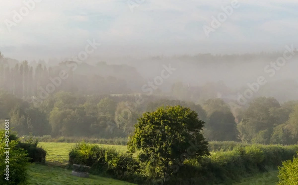 Fototapeta Beautiful early morning autumn landscape with the sun beginning to clear layered mists over a rural valley. Hazy background, with views over the countryside. Selective focus. Hampshire. England.