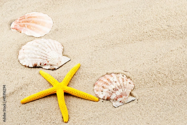 Fototapeta Summer still-life.