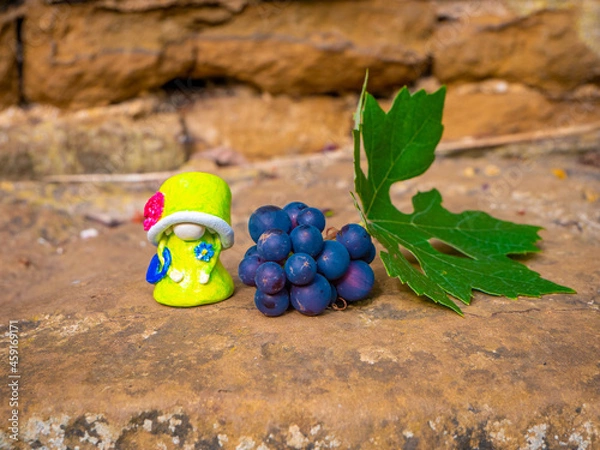 Obraz Queen Gnome near grape and leaf