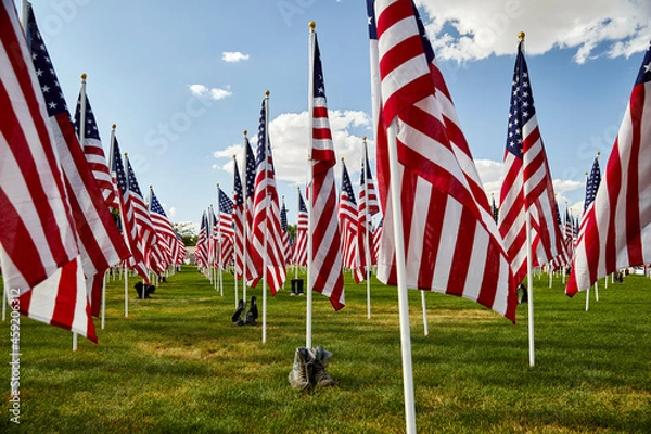 Obraz Rows of American Flags