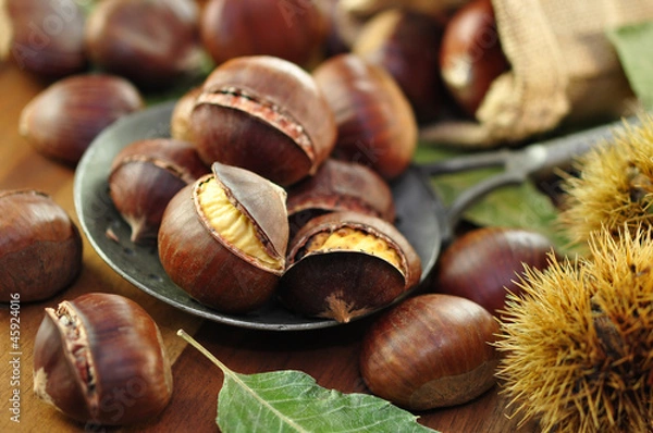 Obraz Geröstete Maronen