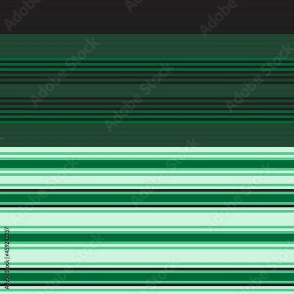 Fototapeta Green Double Striped seamless pattern design