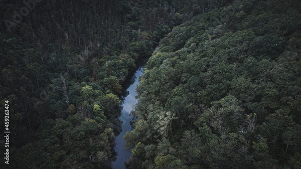 Obraz waterfall in yosemite