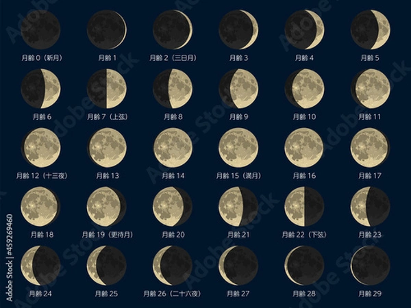 Fototapeta 月の満ち欠け