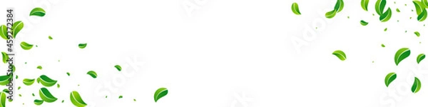 Obraz Grassy Leaf Wind Vector Panoramic White