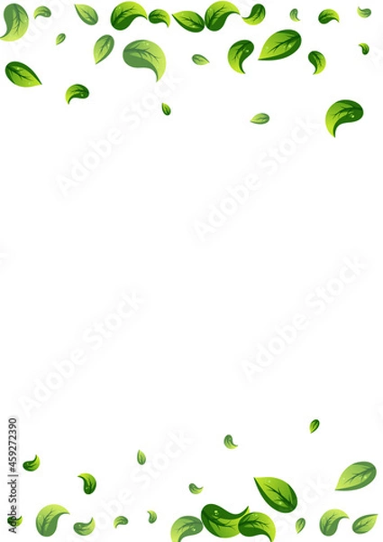 Obraz Green Leaf Nature Vector White Background Poster.