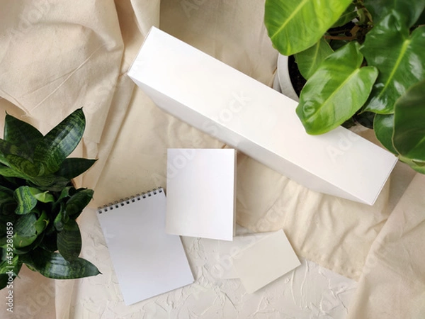 Fototapeta Mockup of white box, notebooks and business cards on a solid background with grained plants