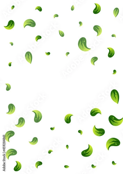 Obraz Forest Leaf Flying Vector White Background