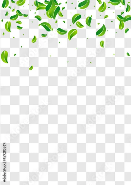 Obraz Grassy Foliage Wind Vector Transparent Background