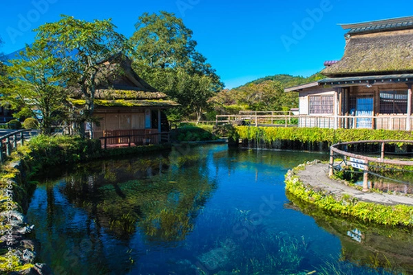 Obraz 忍野八海の中池