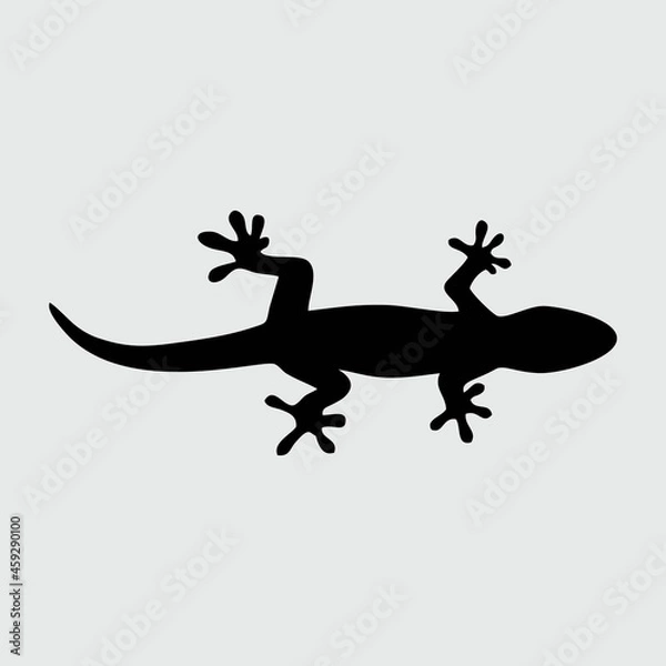 Fototapeta Lizard Silhouette, Lizard Isolated On White Background