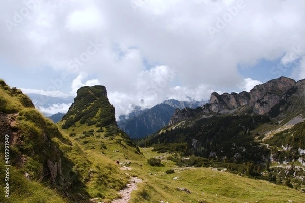Obraz landscape in summer