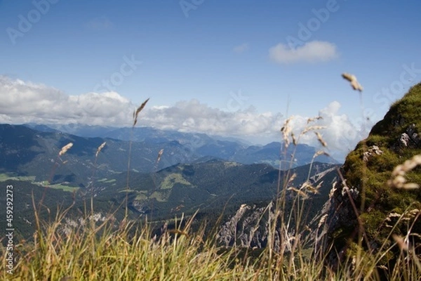 Obraz landscape with mountains