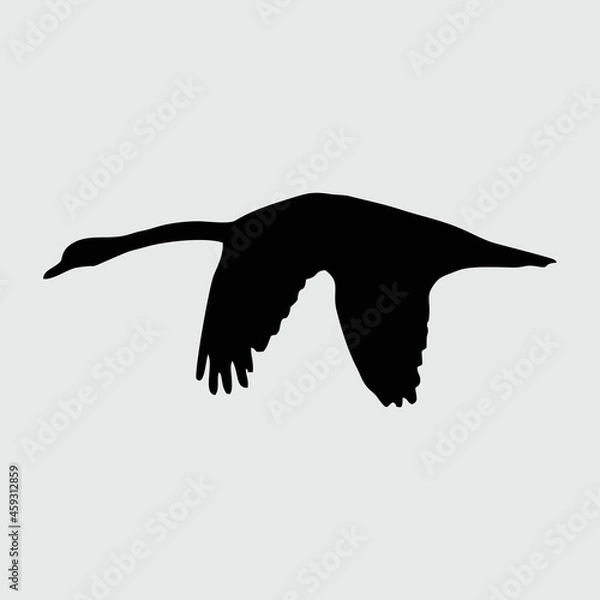 Fototapeta Swan Silhouette, Swan Isolated On White Background