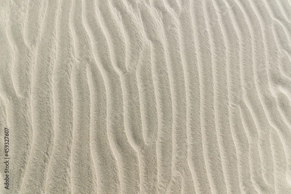 Obraz sand texture background