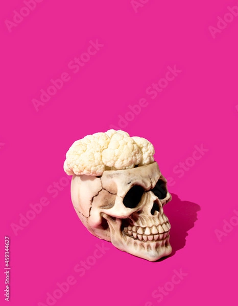 Obraz Skull with cauliflower brain against vivid pink background. Santa Muerte or Halloween concept. Minimal modern composition.
