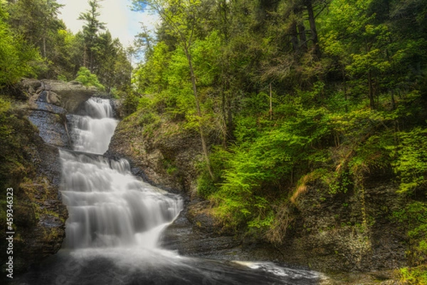 Fototapeta Long Exposure Waterfall and Forest Vertical