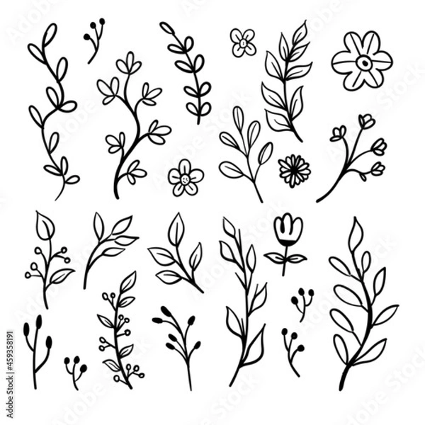 Obraz Doodle floral elements. Hand drawn vector branches and leaves. Vintage botanical illustrations.