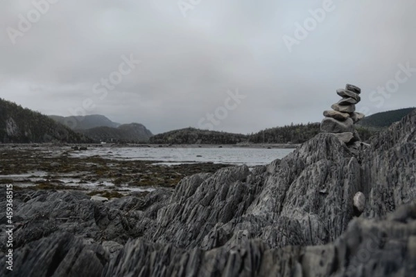 Obraz Zen native art