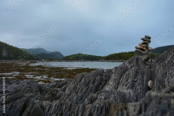 Obraz Zen native art