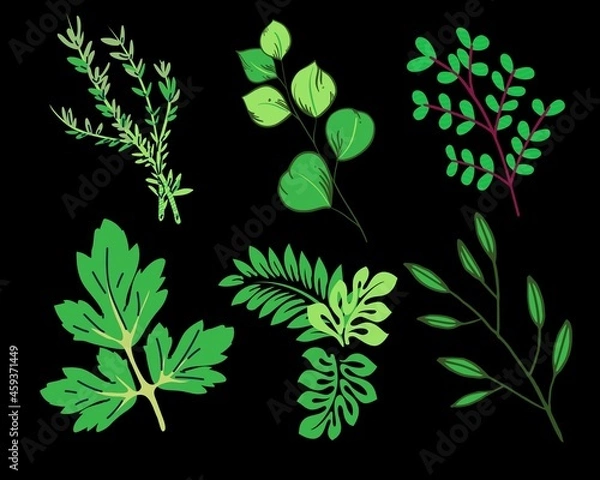 Obraz green leaves background