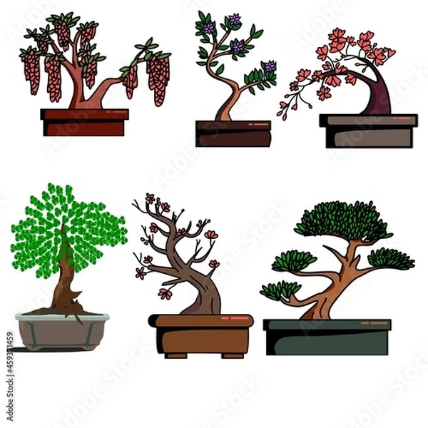 Obraz bonsai tree in a pot