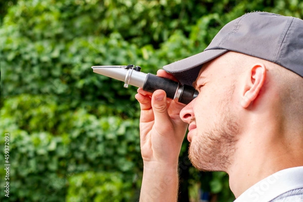Obraz the winemaker looks at the refractometer to determine the sugar content of grape juice