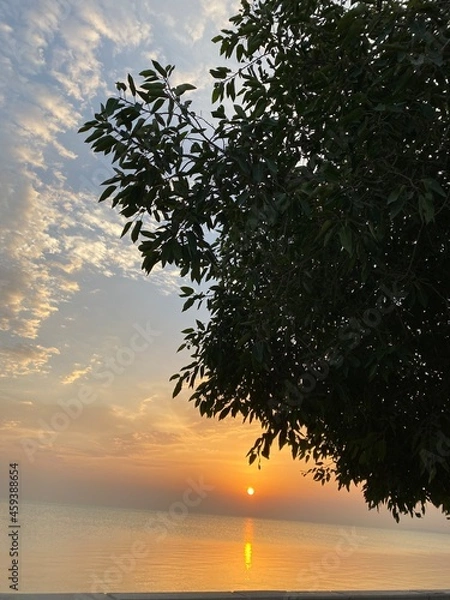 Obraz sunset on the lake