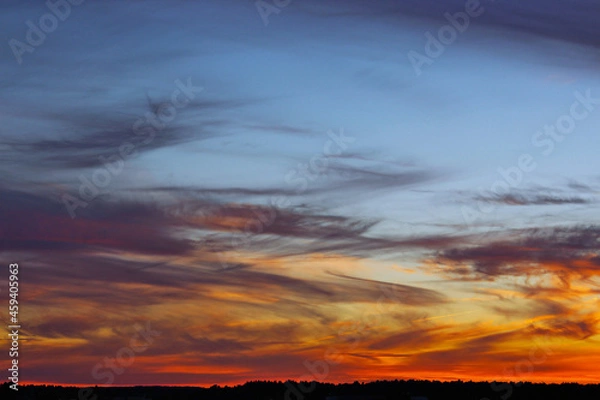 Obraz dawn in the sky