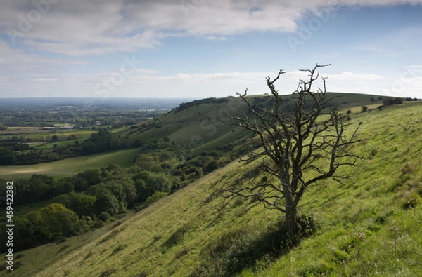 Obraz Ditchling beacon on the South Downs