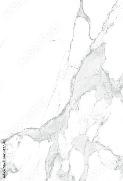 Obraz water splash isolated on white