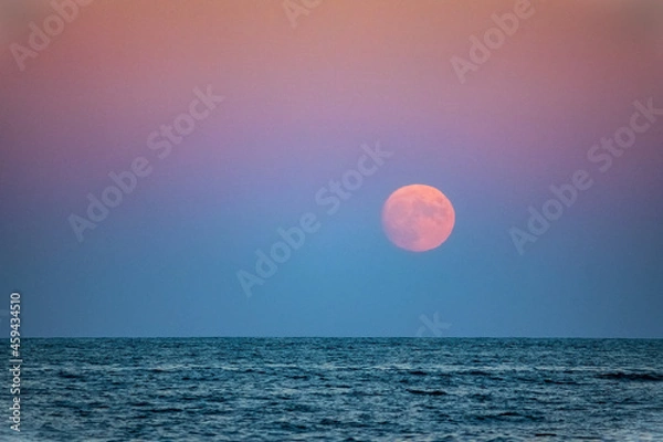 Obraz Hazy Full Moon