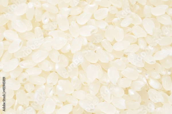 Fototapeta お米　米粒