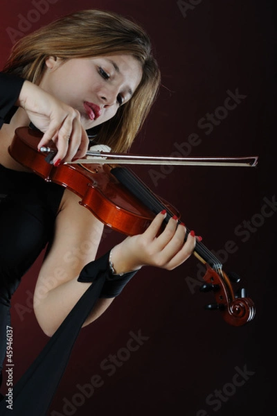 Obraz Beutiful musician playing violin
