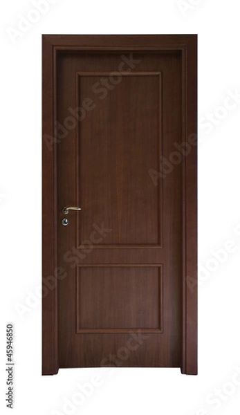 Obraz Dark brown door