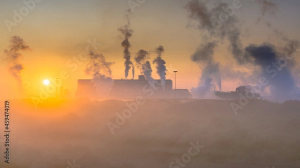 Fototapeta Colorful dune vegetation under rising early morning sun