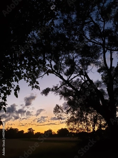 Fototapeta Sunset on a Farm Field