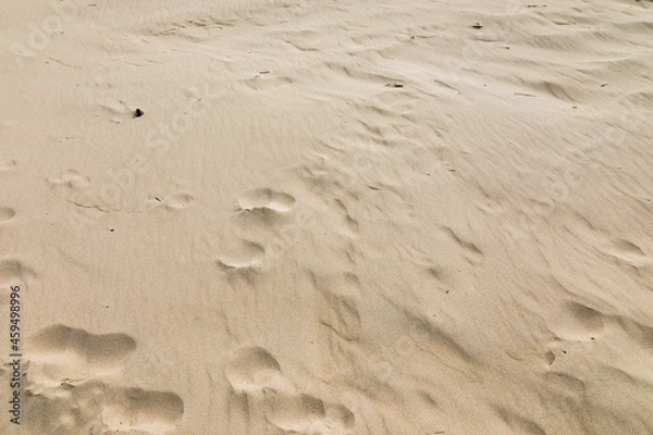 Obraz Plage de sable