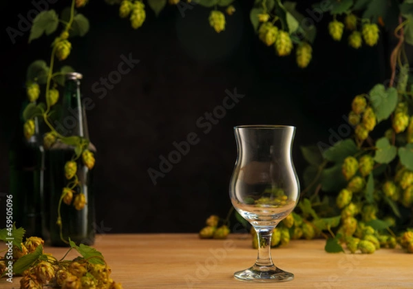 Fototapeta High resolution photo: Empty tulip glass for beer