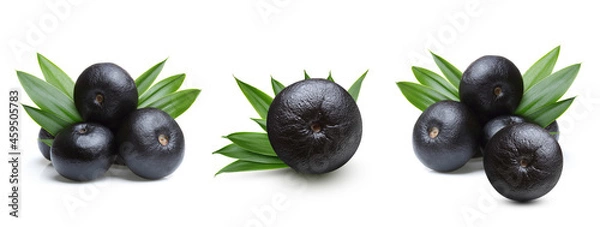 Fototapeta Amazon acai fruit set on white background. Perfect acai berry isolated.