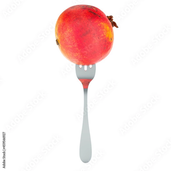 Obraz Pomegranate on fork, 3D rendering