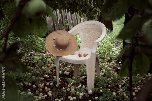 Obraz A hat on the garden chair in garden
