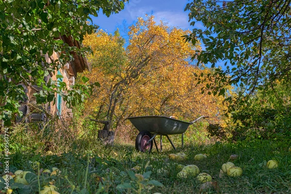 Obraz Wheelbarrow in the garden