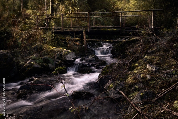 Obraz waterfall in the forest