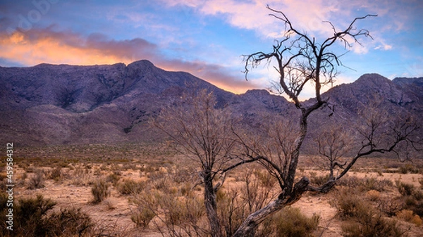 Obraz Organ Mountains east of Las Cruces, NM
